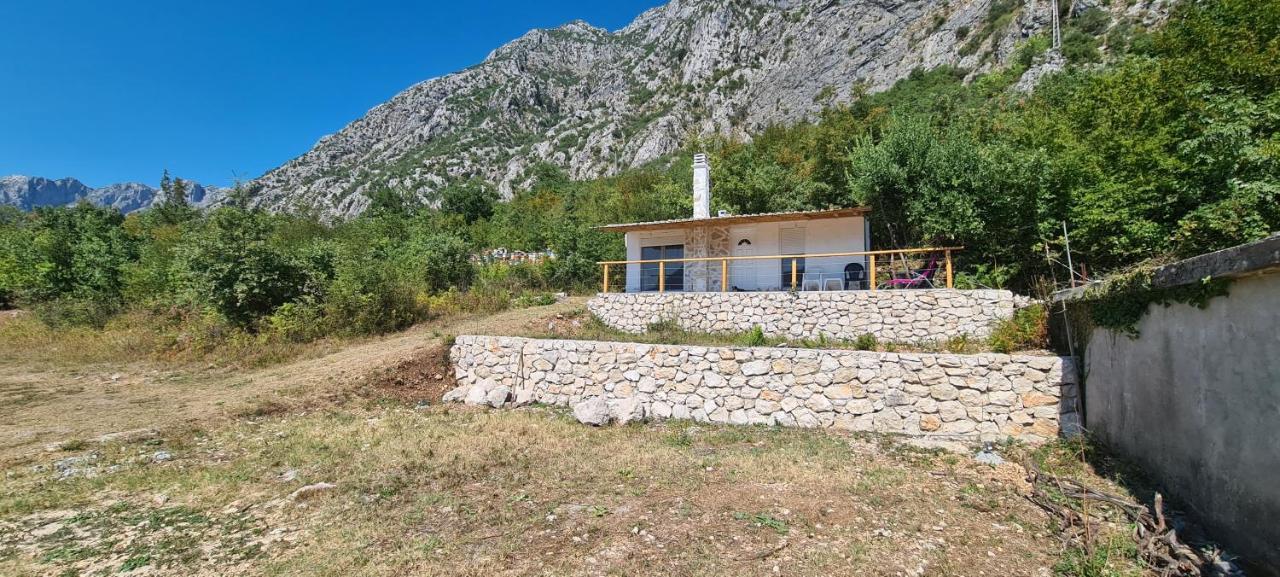Home Of Laurel Κότορ Εξωτερικό φωτογραφία