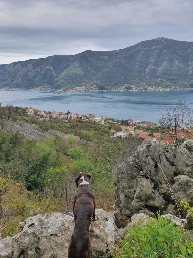 Home Of Laurel Κότορ Εξωτερικό φωτογραφία